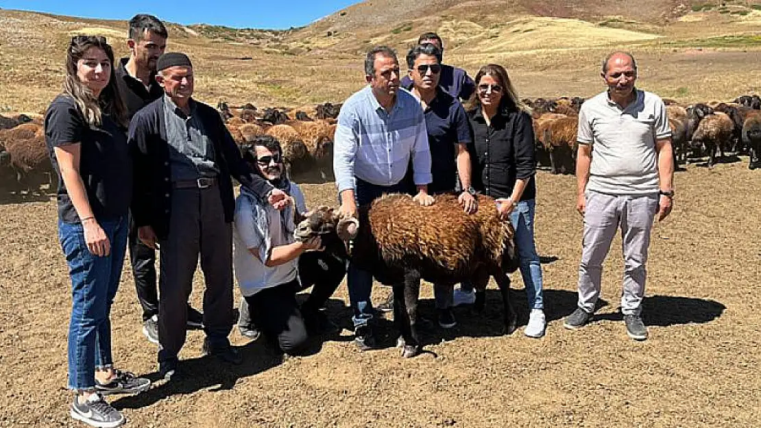 Elazığ'da Küçükbaş Hayvan Yetiştiricilerine Büyük Destek