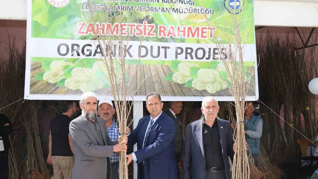 Elazığ'da üreticilere bin 400 adet dut fidanı dağıtıldı