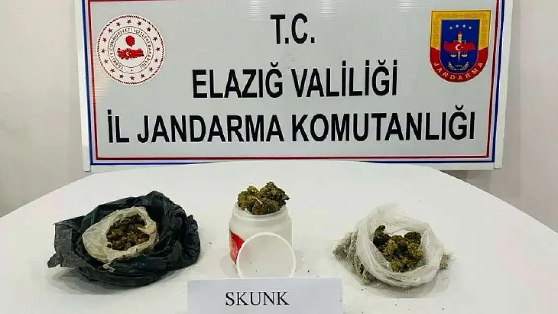 Elazığ'da uyuşturucuyla mücadele: 1 gözaltı