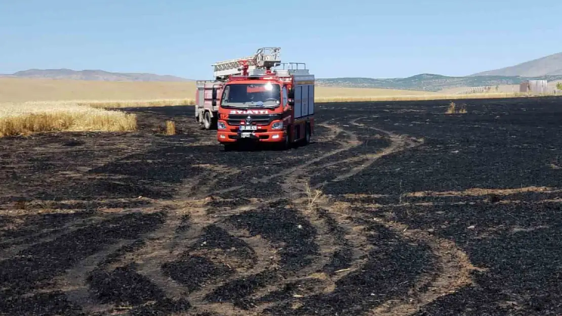 Trafodan çıkan kıvılcım 70 dönümlük ekili alanı kül etti