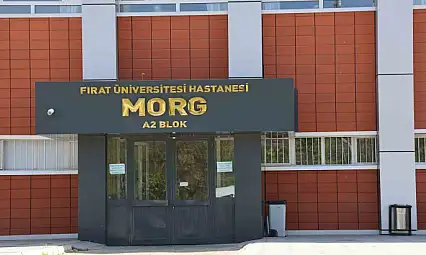 Elazığ'da araç şarampole yuvarlandı: 1 ölü